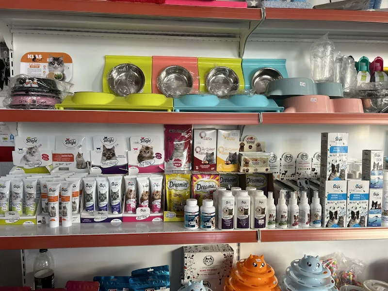 ETİMESGUT & ELVANKENT ALO MAMA ELWİN PET SHOP & PET KUAFÖR foto 2