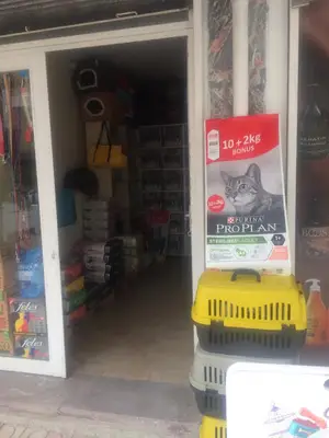 TelepatiMama