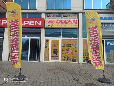 Gümüş akvaryum fotoğrafı