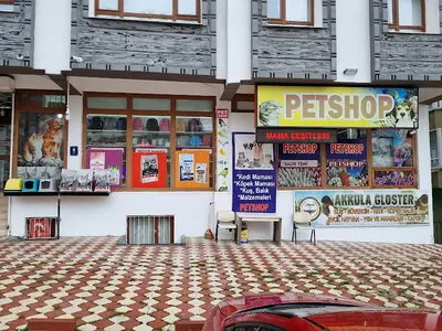 BERRİN PETSHOP fotoğrafı