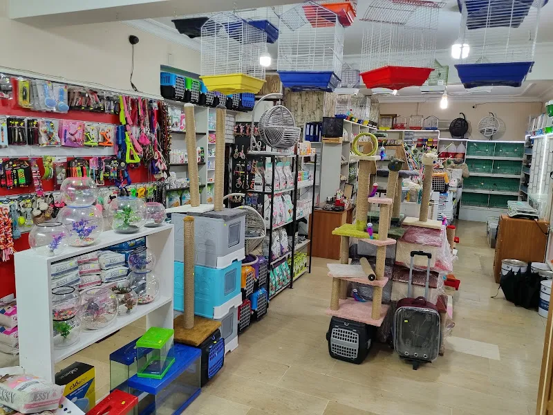 BERRİN PETSHOP foto 2