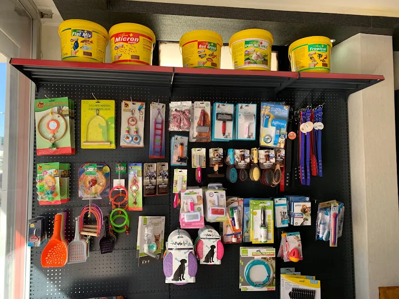 Başkent Mama foto 1