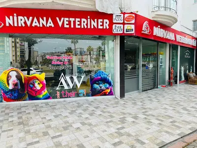 NİRVANA VETERİNER KLİNİĞİ fotoğrafı