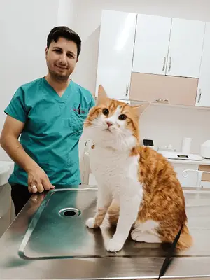 Minik Patiler Veteriner Kliniği fotoğrafı