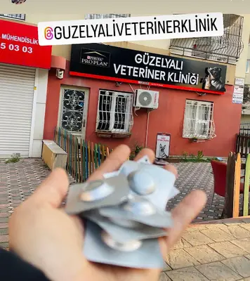 Güzelyalı Veteriner Kliniği fotoğrafı