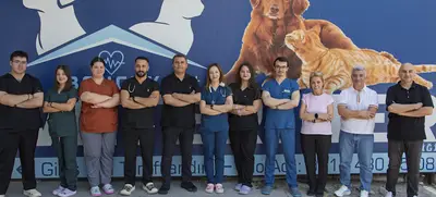 Boncuk Animal Club fotoğrafı