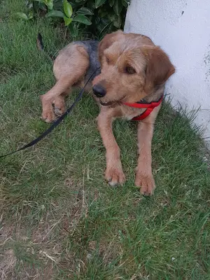 Marsilya Veteriner Kliniği fotoğrafı