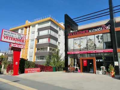 Bağlıca Veteriner Kliniği fotoğrafı