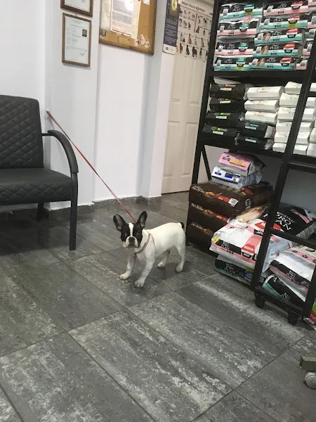 Panda Veteriner Kliniği foto 2