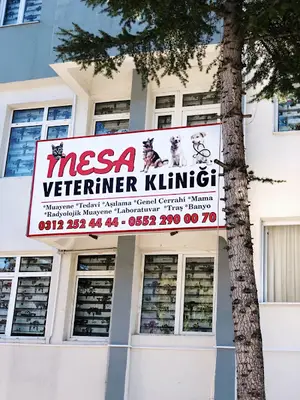 mesa veteriner kliniği fotoğrafı