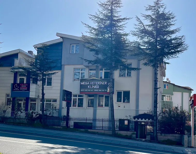 mesa veteriner kliniği foto 2