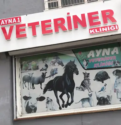 Ayna 1 Veteriner Kliniği fotoğrafı