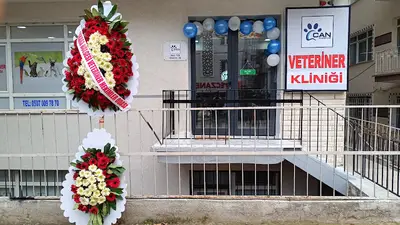 CAN VETERİNER KLİNİĞİ fotoğrafı