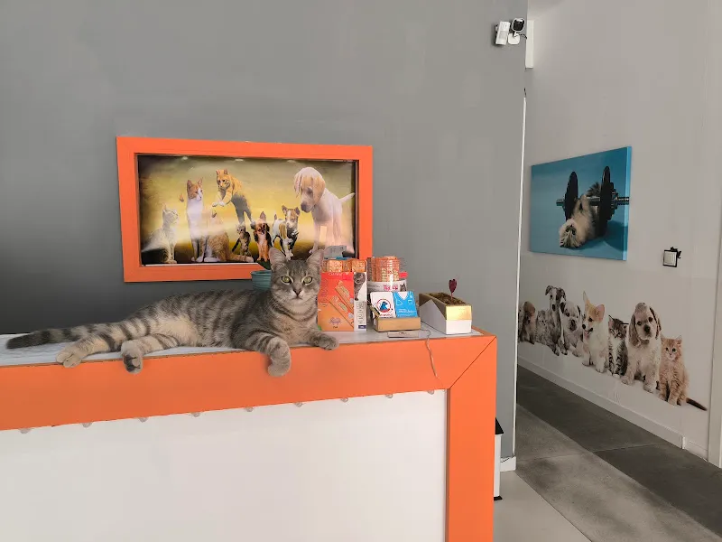 VET WORLD VETERİNER KLİNİĞİ foto 2