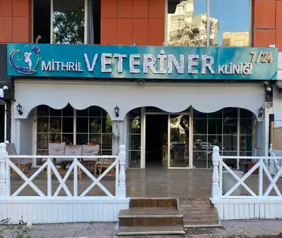 Mithril Veteriner Kliniği fotoğrafı