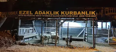 EZEL ADAKLIK KURBANLIK fotoğrafı