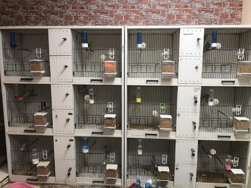 EEE PETSHOP foto 2