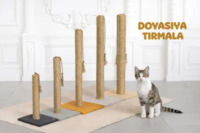 Pechi fotoğrafı
