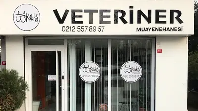 Bahçelievler Kaktüs Veteriner Muayenehanesi fotoğrafı