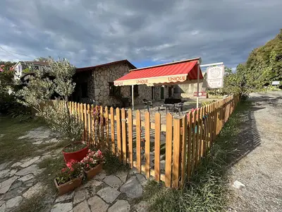 Country Veteriner Kliniği - Sırapınar