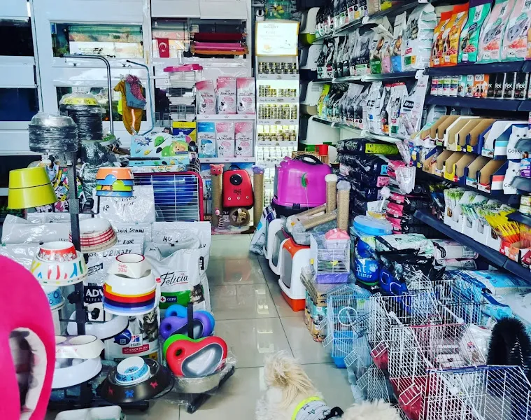 RED PETSHOP foto 2
