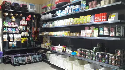Maya petshop fotoğrafı