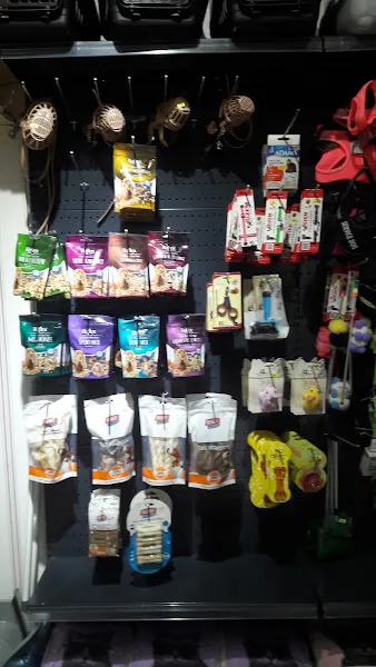 Maya petshop foto 2