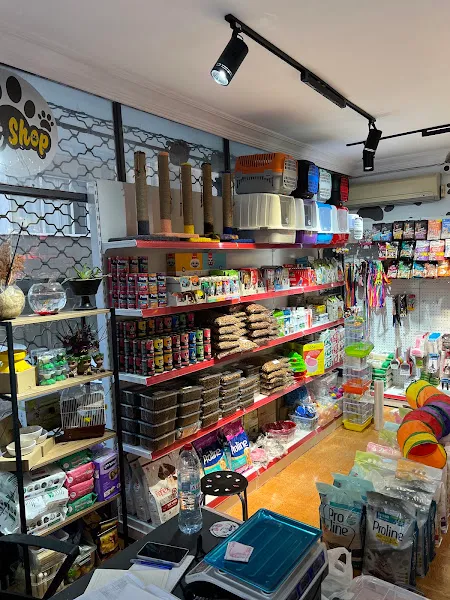 Teddy Pet Shop foto 2