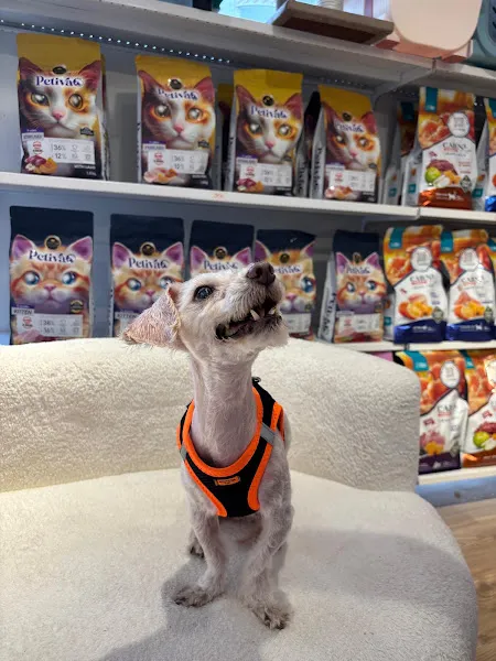 FEEL PET MARKET&GROOMİNG foto 2