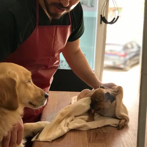 Mutlu Kuyruklar Veteriner Kliniği foto 2