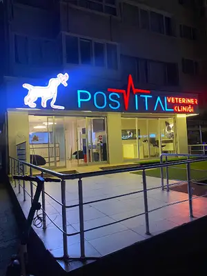 Erenköy Posvital Veteriner Kliniği 7/24
