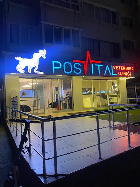 Erenköy Posvital Veteriner Kliniği 7/24 foto 1