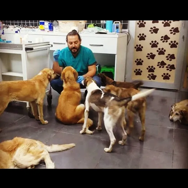 silivri pan veteriner kliniği foto 2
