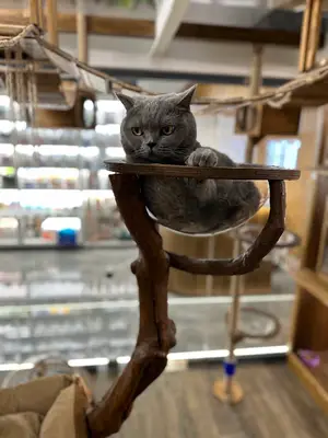 5. Levent Kent Veteriner Kliniği fotoğrafı