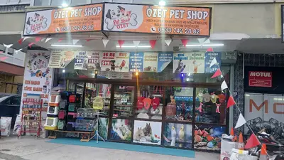 Özet petshop fotoğrafı