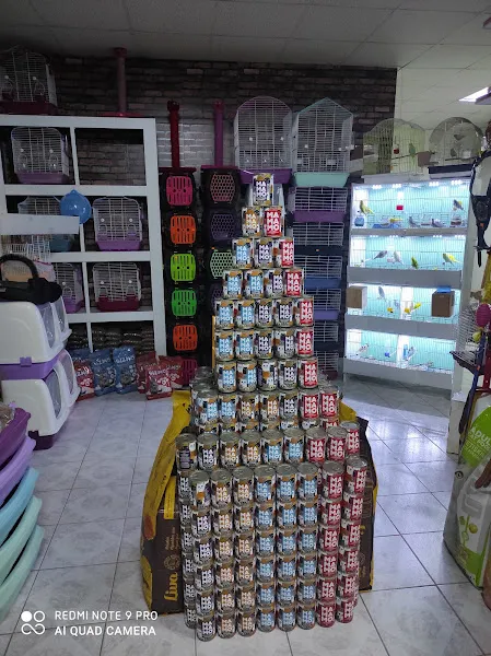 EMR PETSHOP foto 2