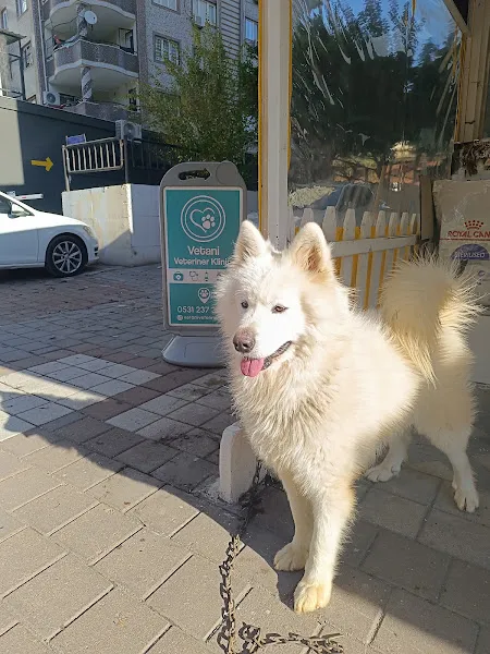 Vetani Veteriner Kliniği foto 2
