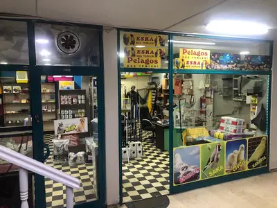 Rayfin Akvaryum Petshop fotoğrafı