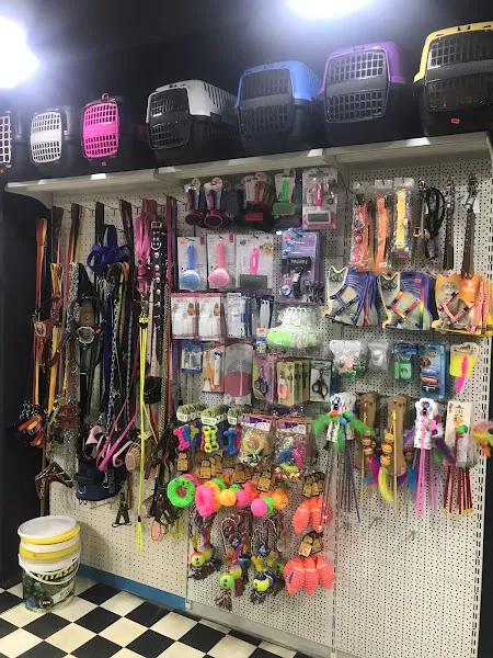 Rayfin Akvaryum Petshop foto 2