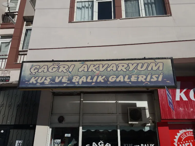 Çağrı Akvaryum Kuş Ve Balık Galerisi foto 1