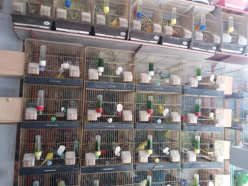 Çağrı Akvaryum Kuş Ve Balık Galerisi foto 2