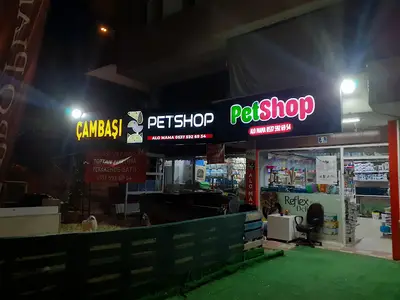 Çambaşı Petshop Akvaryum