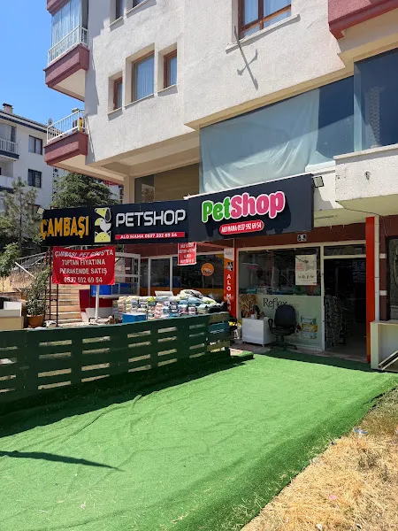 Çambaşı Petshop Akvaryum foto 2