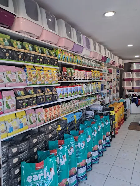 Kırlangıç Petshop foto 2