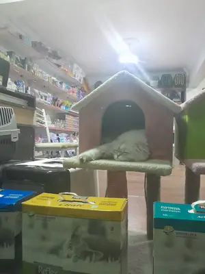 2000 Evler Petshop fotoğrafı