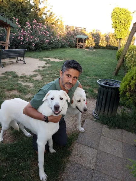 volkan foto 1