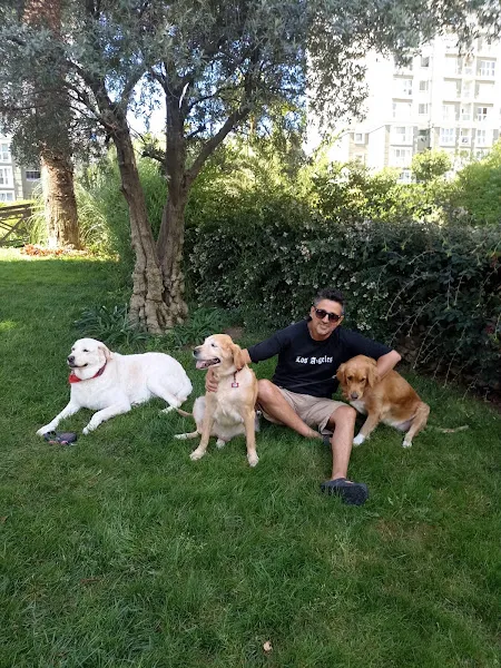 volkan foto 2