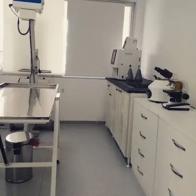 Mayada Veteriner Kliniği fotoğrafı