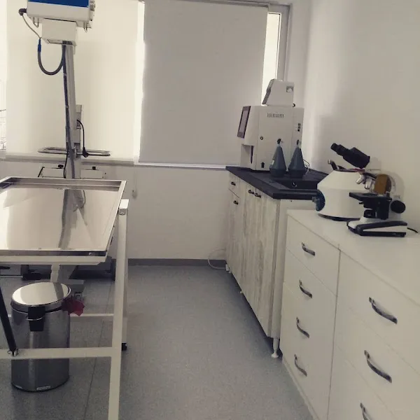 Mayada Veteriner Kliniği foto 1
