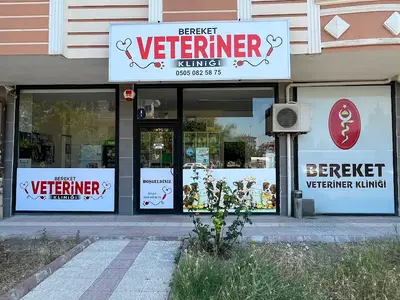 Yenikent Bereket Veteriner Kliniği fotoğrafı